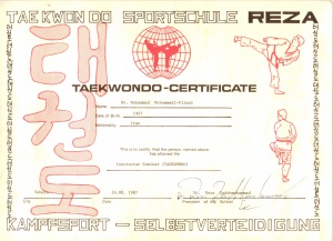 Taekwondo-Cert-01